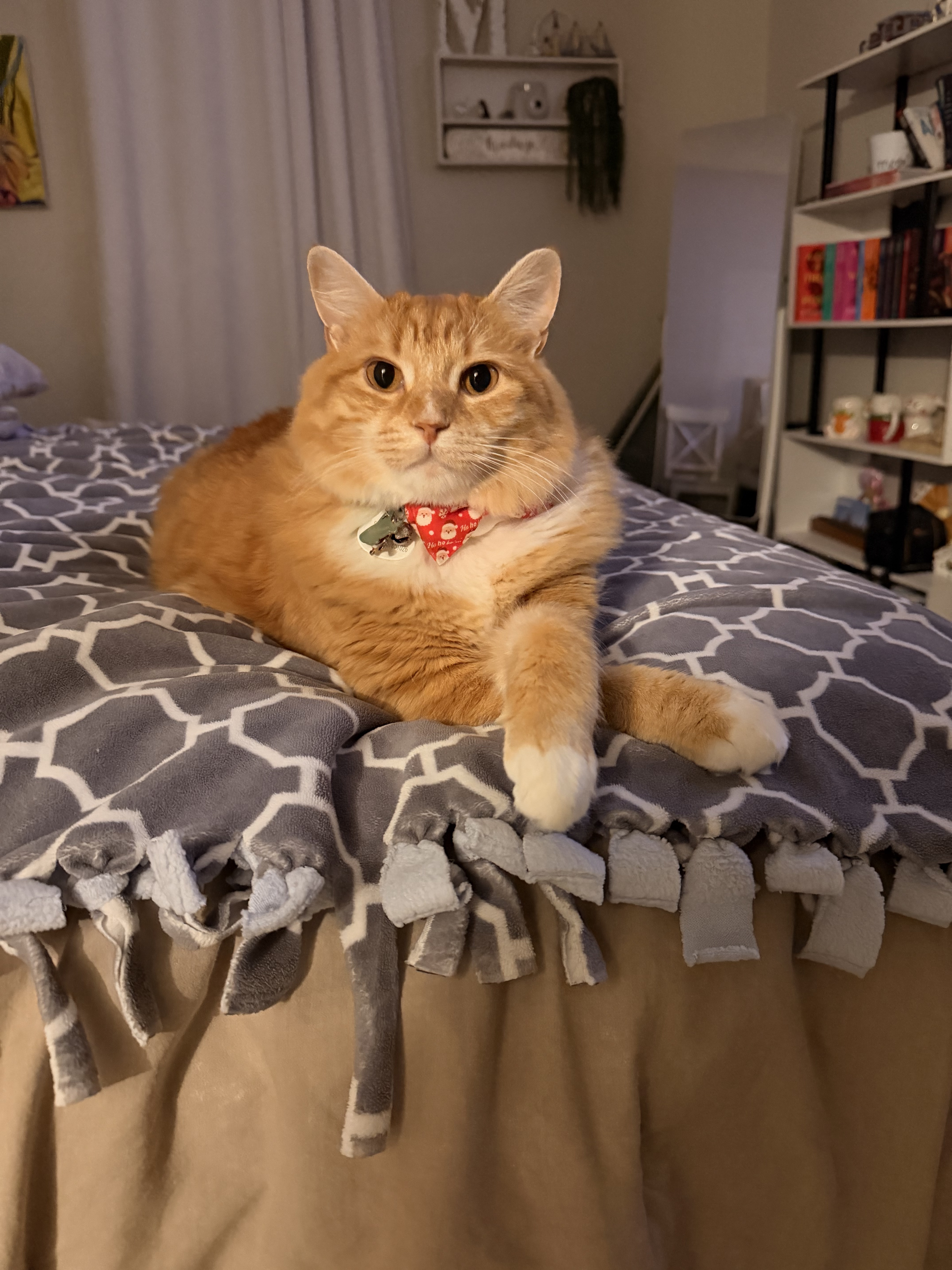 Skipper